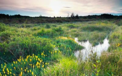 Contester le classement de parcelles en zone naturelle