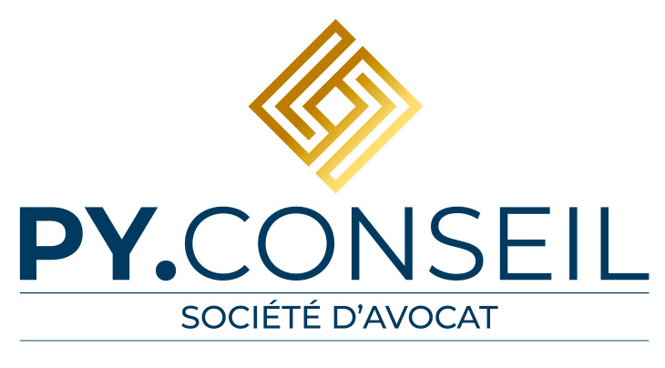 logo py conseil